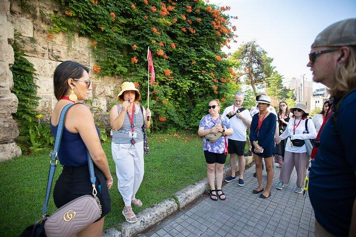Early Access Acropolis & Old Athens Walking Tour in Spanish