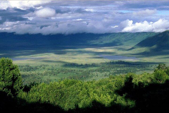 Safari por el cráter Tarangire y Ngorongoro desde Zanzíbar