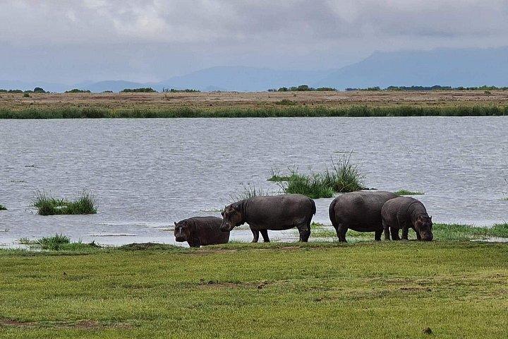 ヘルズゲートとナイバシャ湖ガイド付き日帰り旅行