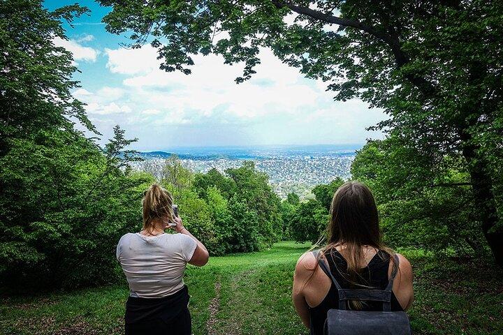 Panoramisk vandring runt Budapest
