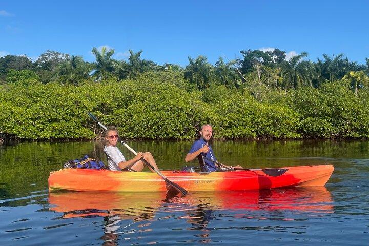 Tour ecologico di kayak e snorkeling sulle mangrovie di Bocas