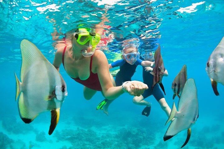 2 - Ora di Mauna Kea One Stop Sealife Snorkel Adventure