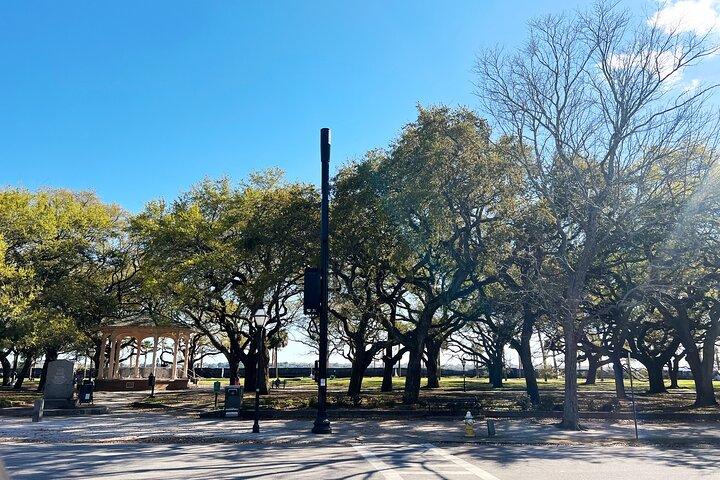 Charleston in comodità: un tour della città per piccoli gruppi