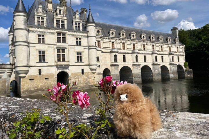 Pequeno Grupo 3 Loire Valley Castels & Wine Tasting Guided Tour