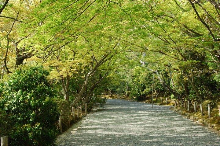 京都： 金閣寺歴史ガイドツアー