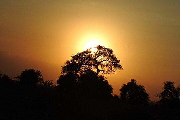Amboseli Overnight with Accomodation