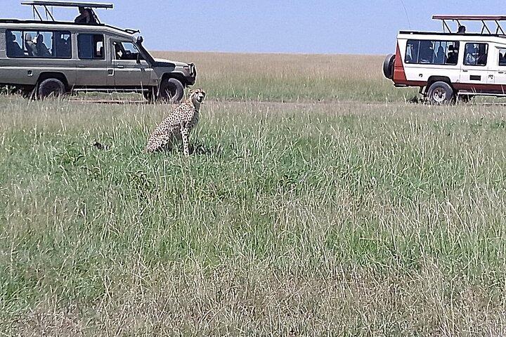 Amboseli Overnight with Accomodation