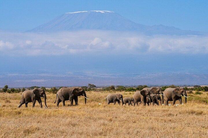 Amboseli Overnight with Accomodation