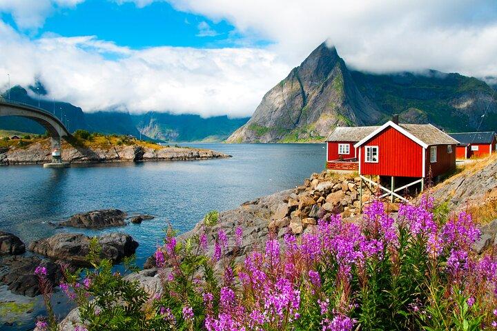 2-daagse Lofoten Top Hoogtepunten Fototour