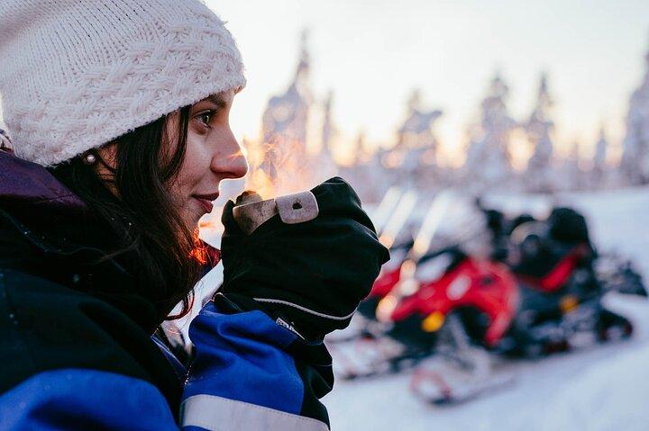 Safari en moto de nieve de 2 horas a Levi Nature