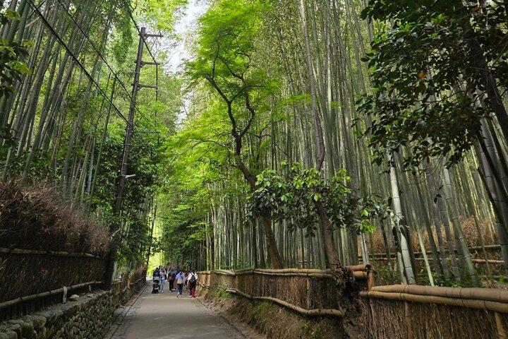 Arashiyama Half Day Tour