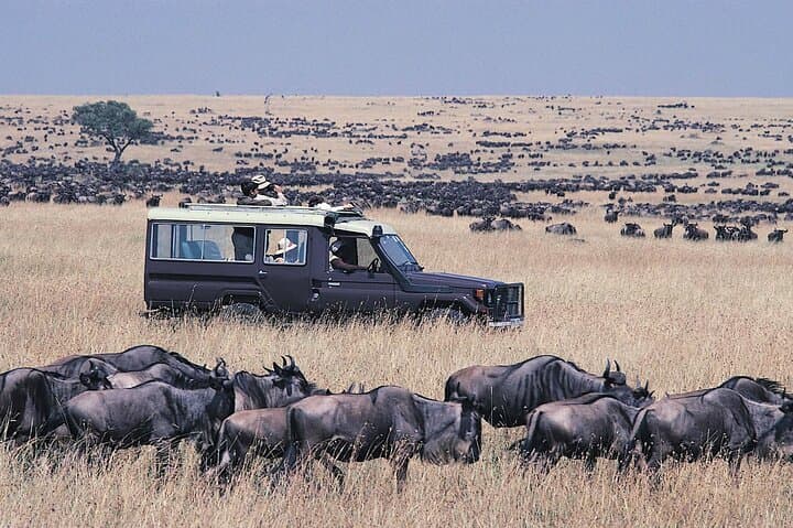 Lake Nakuru, Naivasha and Masai Mara Private Safari Tour