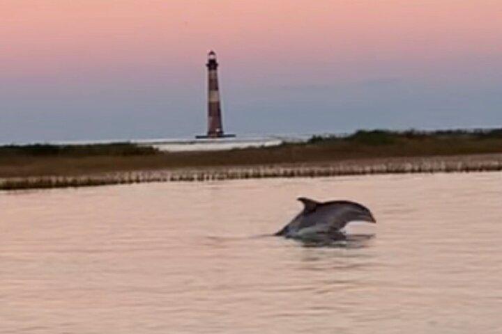 Dolphin Adventure (Privato o Pubblico) a 12 ospiti