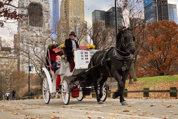 Offizielle private NYC CentralPark Pferdekutschenfahrt seit 1972