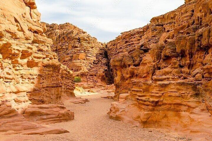 Excursão de snorkel em Sharm El-Sheikh, Canyon Salama Safari e 3 piscinas