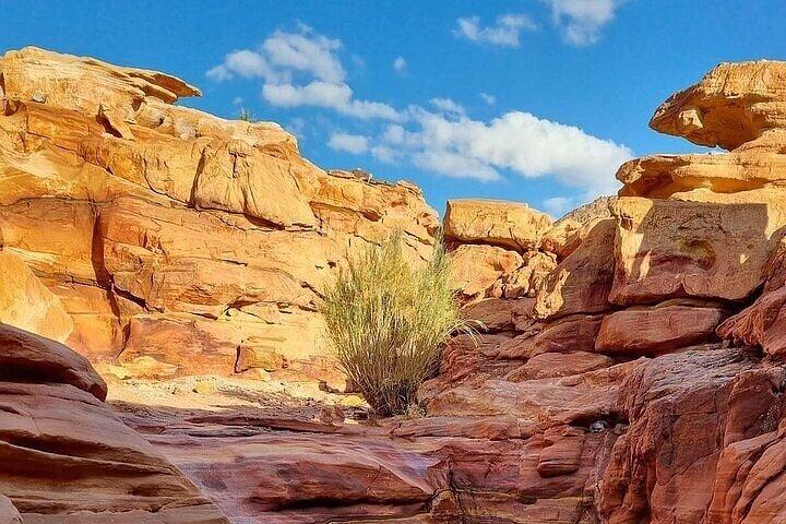 Excursão de snorkel em Sharm El-Sheikh, Canyon Salama Safari e 3 piscinas
