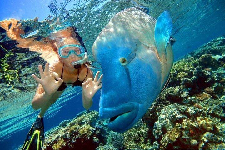 Bali Snorkeling Blue Lagoon Beach Include Lunch & Transport