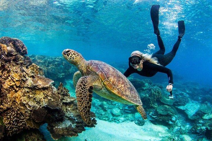 Bali Blue Lagoon Snorkeling con barra de piscina de río tropical Ubud