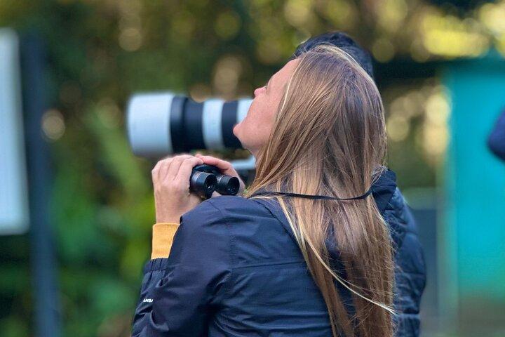ESCLUSIVO CLOUD FOREST BIRDING + Binocolo GRATUITO + colibrì