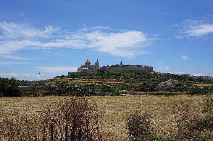 Visite privée des principaux sites et temples de Malte