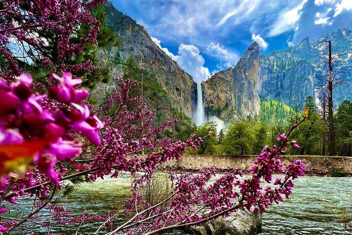 A melhor experiência completa do Parque Nacional de Yosemite - pacote de férias de 5 dias