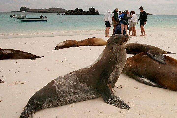 Tour di 5 giorni per esplorare Santa Cruz, Isabela e Santa Fe Galapagos