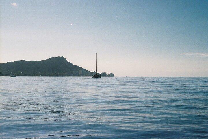 Marine Wildlife Snorkel Tour Sharks Shipwreck