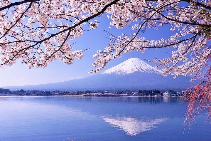 Gita di 1 giorno al Monte Fuji e nei Cinque Laghi intorno alla zona