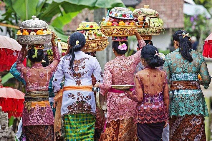 Ubud dagstur