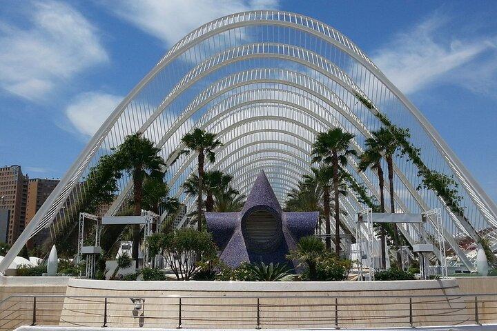 Halvdags Walking Tour i Valencia