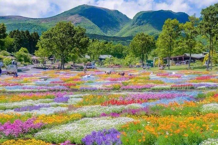 湯布院、福岡から湖と寺を巡る別府地獄めぐり