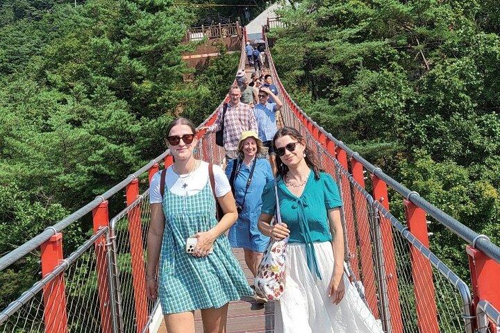 DMZ: Udforsk den 3. tunnel og naturvandring på Suspension Bridge
