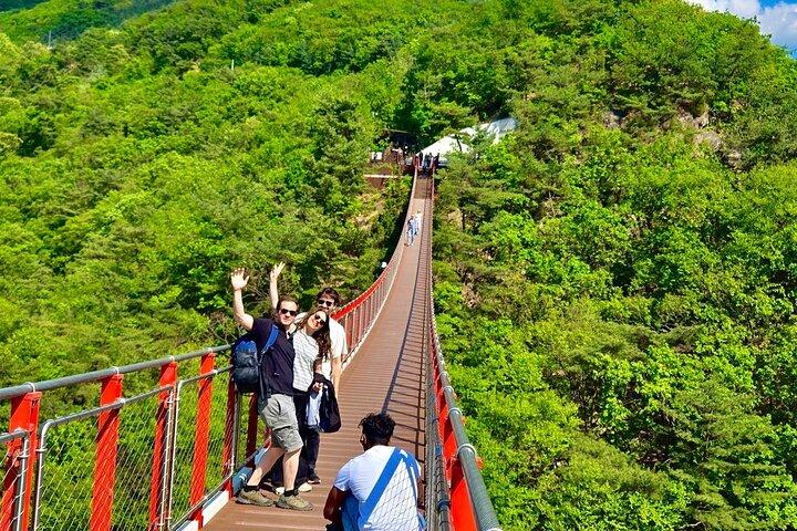 DMZ: Udforsk den 3. tunnel og naturvandring på Suspension Bridge