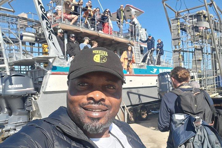 Shark Cage Diving in Gansbaii and African penguins Encounter