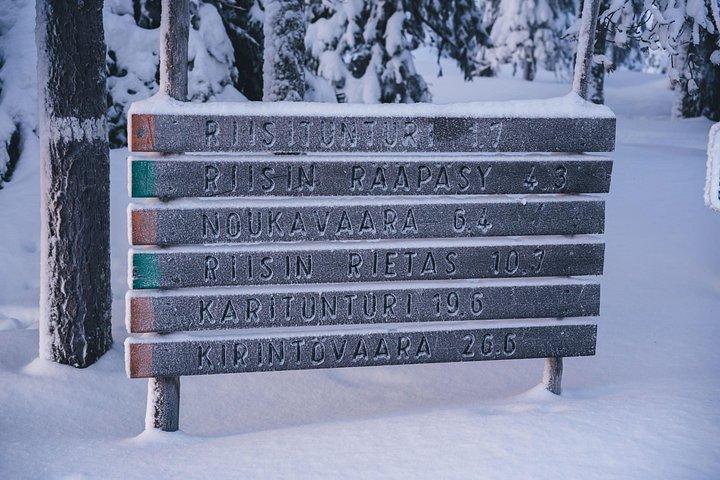 Riisitunturi国立公園への旅行