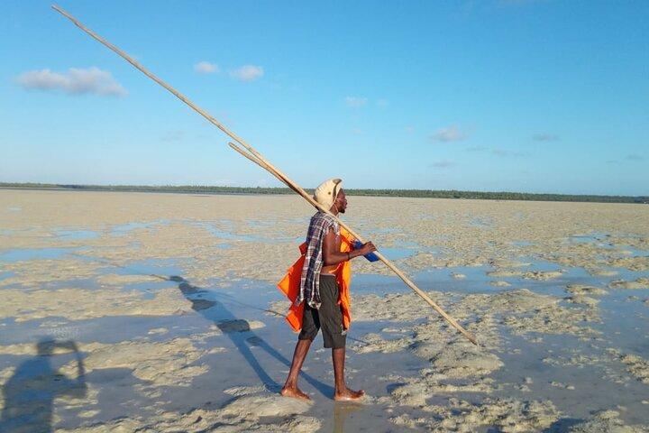 Sunset Mangrove Canoe Tour with Coconut Drink