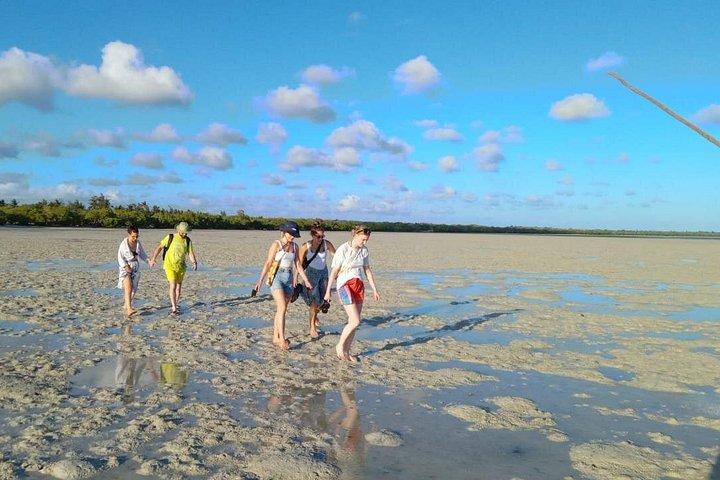 Sunset Mangrove Canoe Tour with Coconut Drink