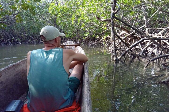 Sunset Mangrove Canoe Tour with Coconut Drink