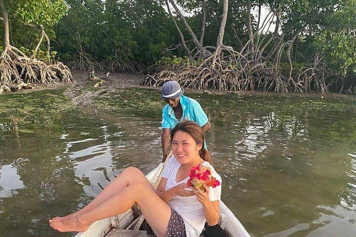 Sunset Mangrove Canoe Tour with Coconut Drink