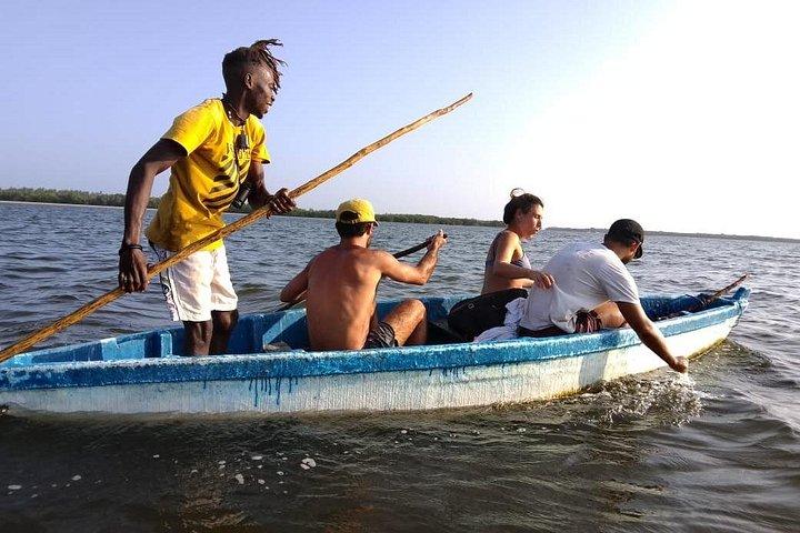 Sunset Mangrove Canoe Tour with Coconut Drink