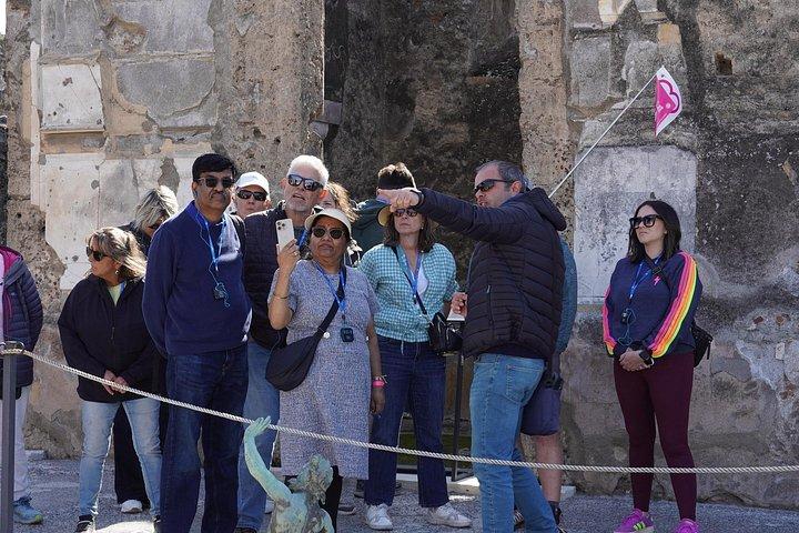 ポンペイのお披露目：ローマからのガイド付き日帰り旅行