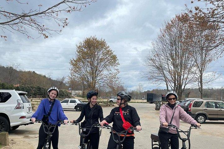 ガイド付きアッシュビルの電動自転車で川の芸術、山、壁画を巡るツアー