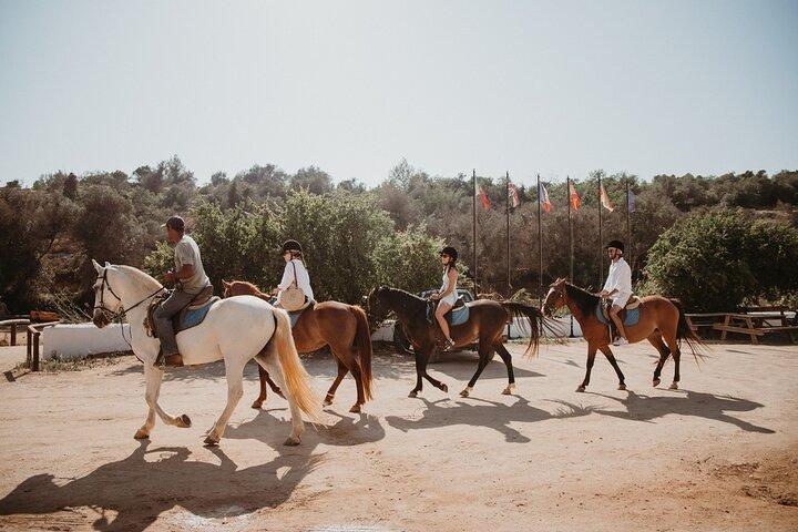 Da Albufeira: Tour a cavallo con pick-up