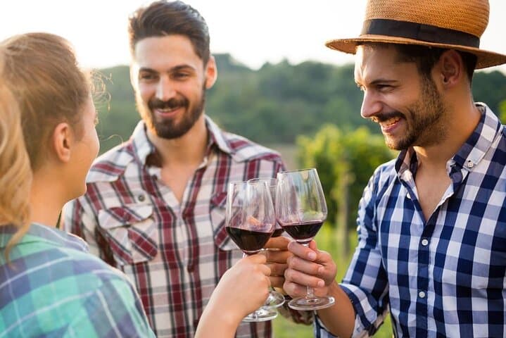 Wine Tasting Tour to Stellenbosch and Franschhoek from Cape Town