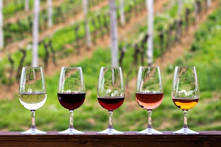 Wine Tasting Tour to Stellenbosch and Franschhoek from Cape Town