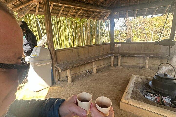 Kyoto Essentials Half Day Walking Tour with Cultural Expert