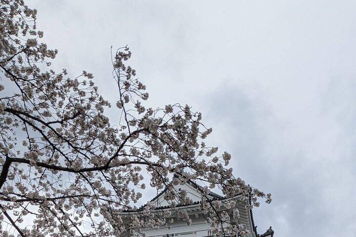 Kyoto Essentials Half Day Walking Tour with Cultural Expert