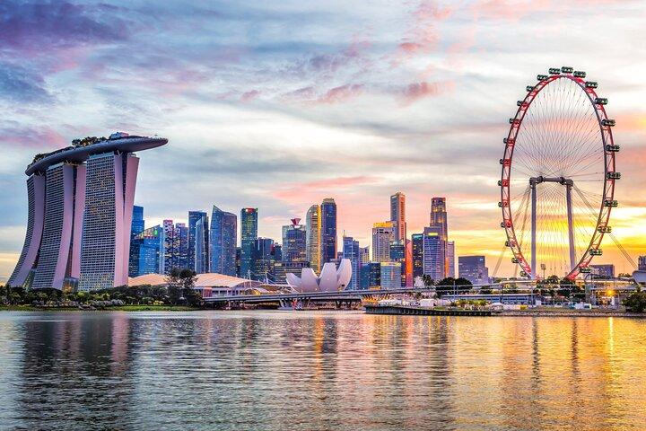 Privé Singapore Car Tour Hotel Pickup Flexibele Routebeschrijving