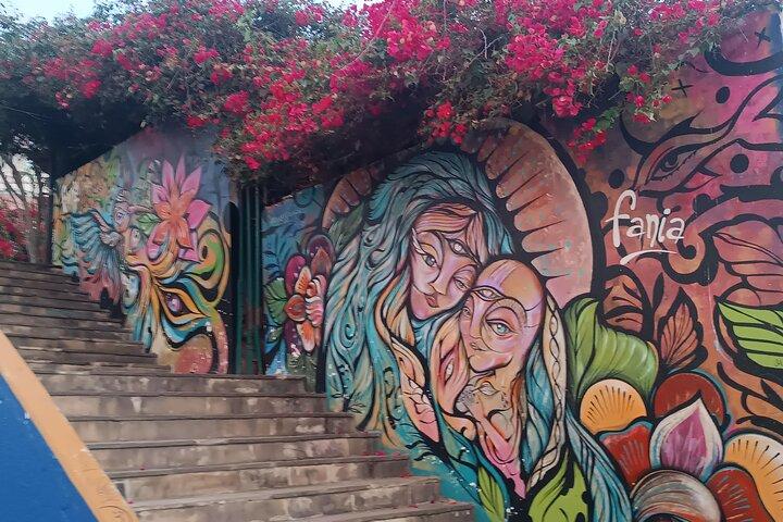 Barranco Street Art Tour - Desmascarado
