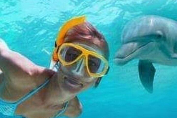 Mnemba Island Dolphins observação e snorkeling